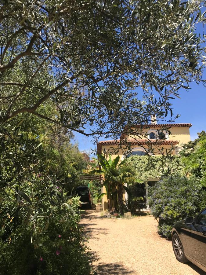 Ecrin de verdure avec accès piscine en plein Aix Aix-en-Provence Buitenkant foto